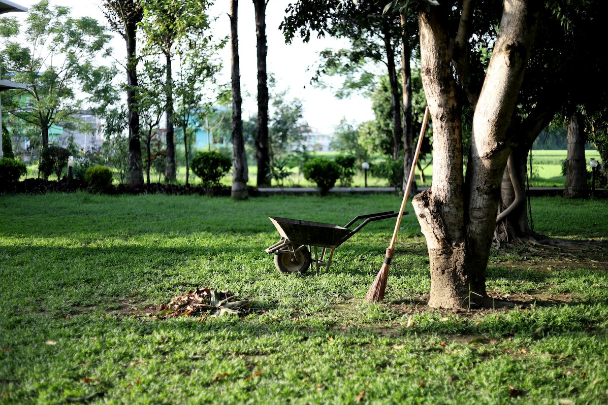 Wheelbarrow - Photo by Nagesh Badu on Unsplash