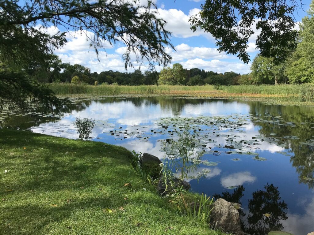 Pond - Photo by Goulet Isabelle on Unsplash