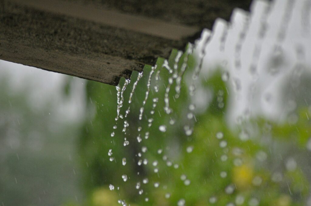 Rainwater harvesting - Photo by Kenneth Adams on Unsplash