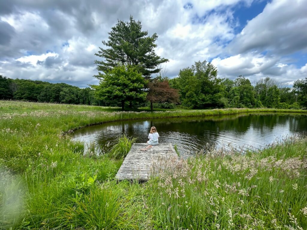 Pond rewilding - Photo by Jasper Pappas on Unsplash.