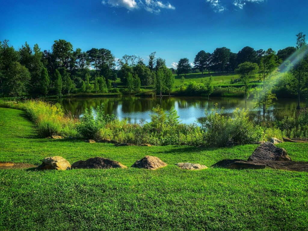 From neglected pond to beautiful pond - Photo by Sean Russell on Unsplash