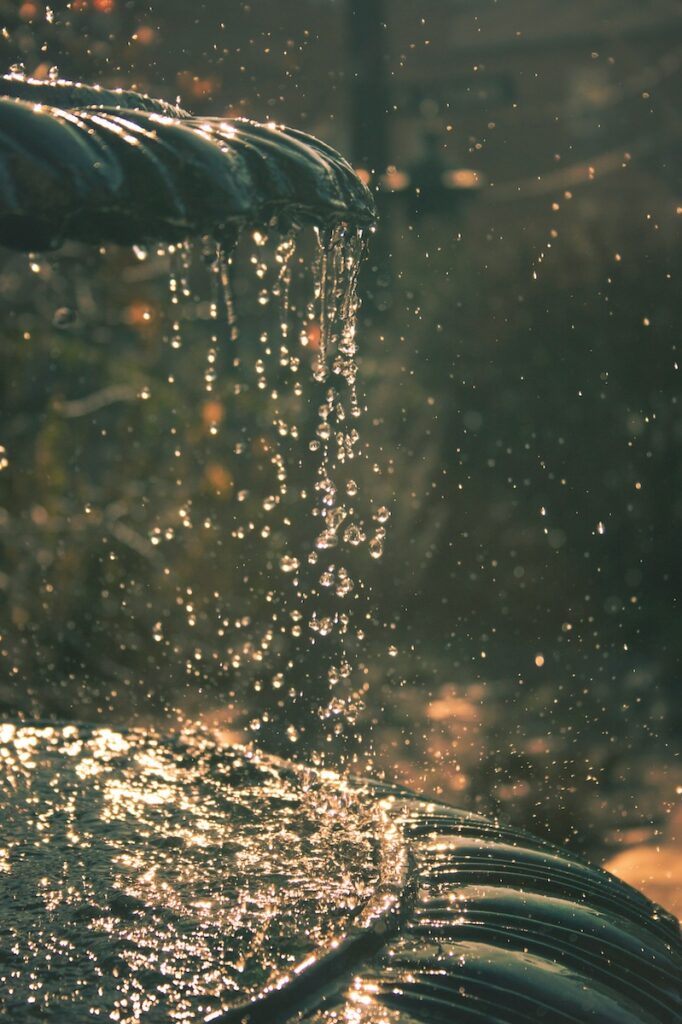 Fountain - Photo by John Wilson on Unsplash