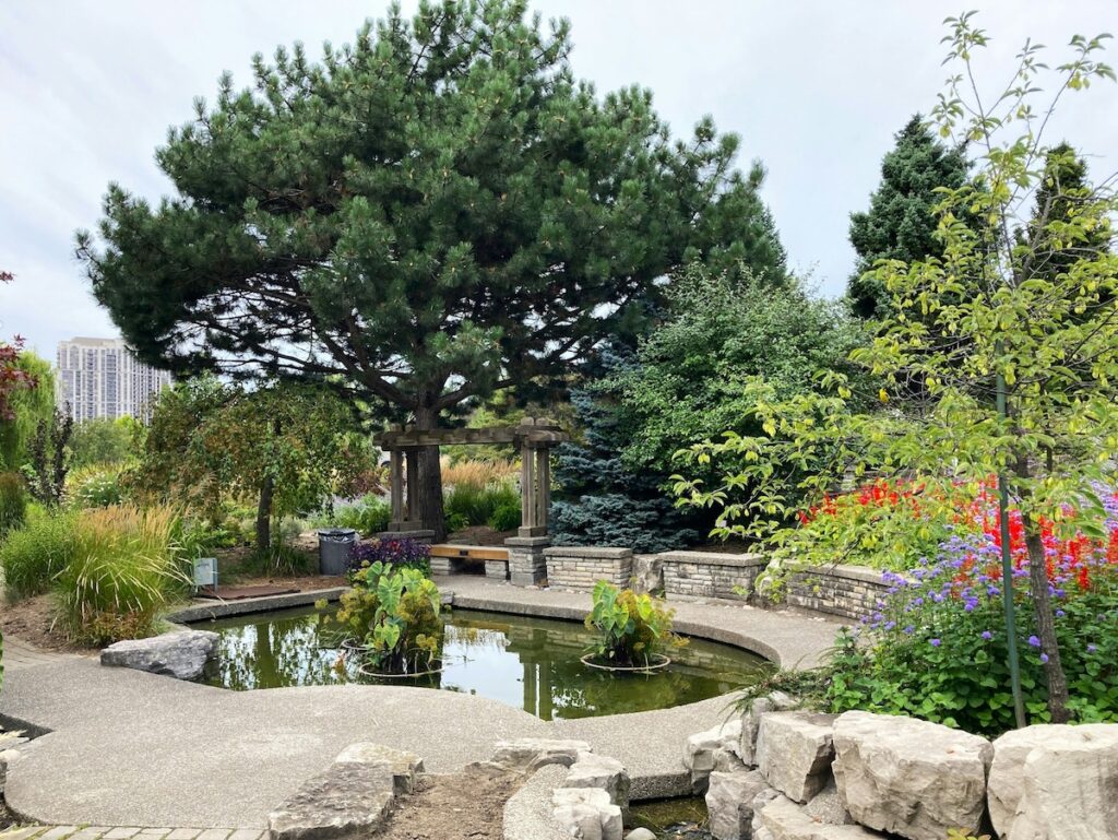 Pond - Photo by Ronin on Unsplash
