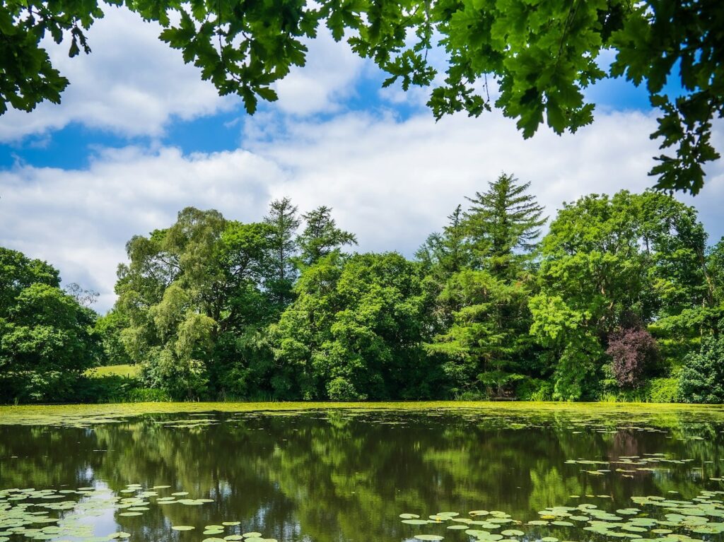 Body of water, Windermere - Photo by Jonny Gios on Unsplash